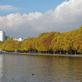 Blick zur Herbstgold-leuchtenden Promenade im Oktober 2016.:)