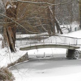 Die Brücke im Park.