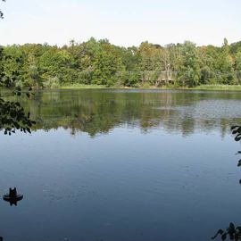 Der Nikolassee. 2018. :)
