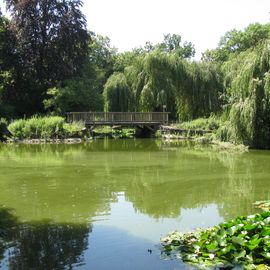 Der Hauptteich mit Brücke.