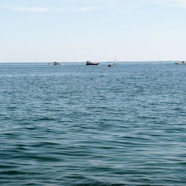 Das ist nicht die Ostsee, so groß ist die Müritz wirklich!!!:)