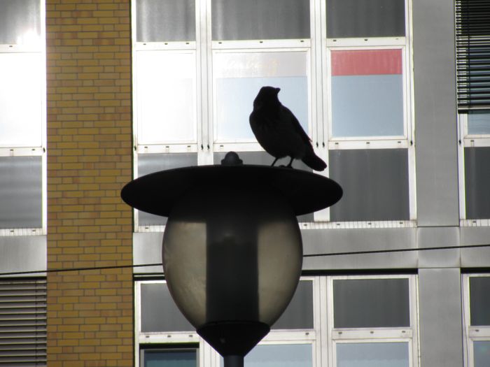 Nutzerbilder Bahnhofspassagen Potsdam Centermanagement