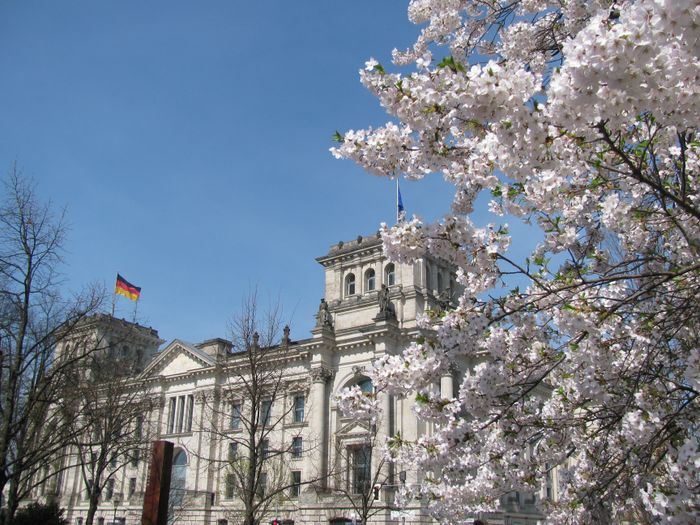 Nutzerbilder Fraktion der F.D.P. Deutscher Bundestag