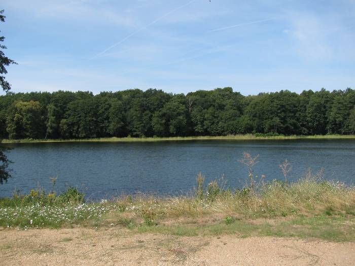 Der Grunewaldsee 2018 im Sommer. Blick nach Westen hin.