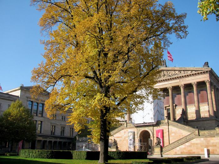 Neues Museum und Alte Nationalgalerie dort im Herbst 2018.