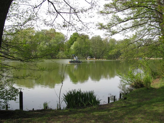 Der Waldsee in Berlin-Hermsdorf.