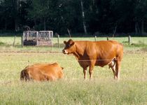 Bild zu Nordfeld Heiligensee - Landwirtschaft Zorn