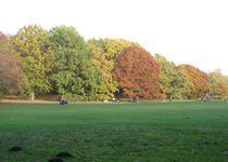 Bild zu Volkspark Rehberge