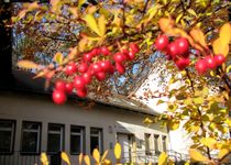 Bild zu Stadtteilbibliothek Berlin-Frohnau