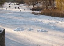 Bild zu Volkspark Schöneberg Wilmersdorf