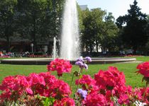 Bild zu Brunnenschale mit Fontäne am Prager Platz