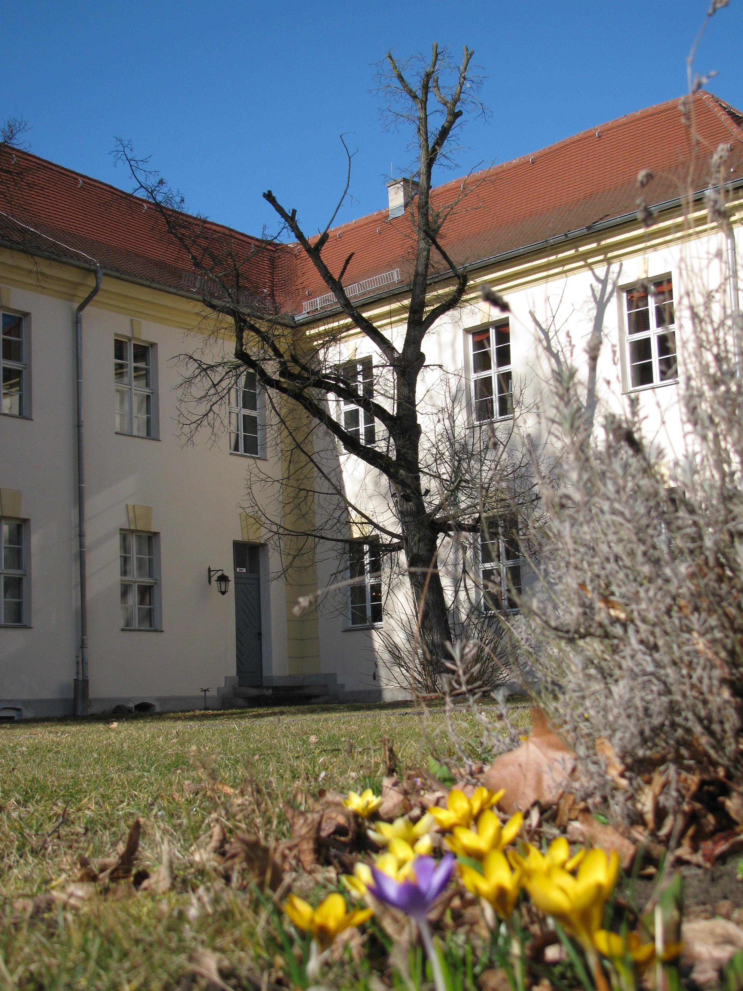 Krokusse vor dem linken Hofgebäude des Schlosses Königs Wusterhausen im Februar 2014!!! Frühlingswetter!!! :)