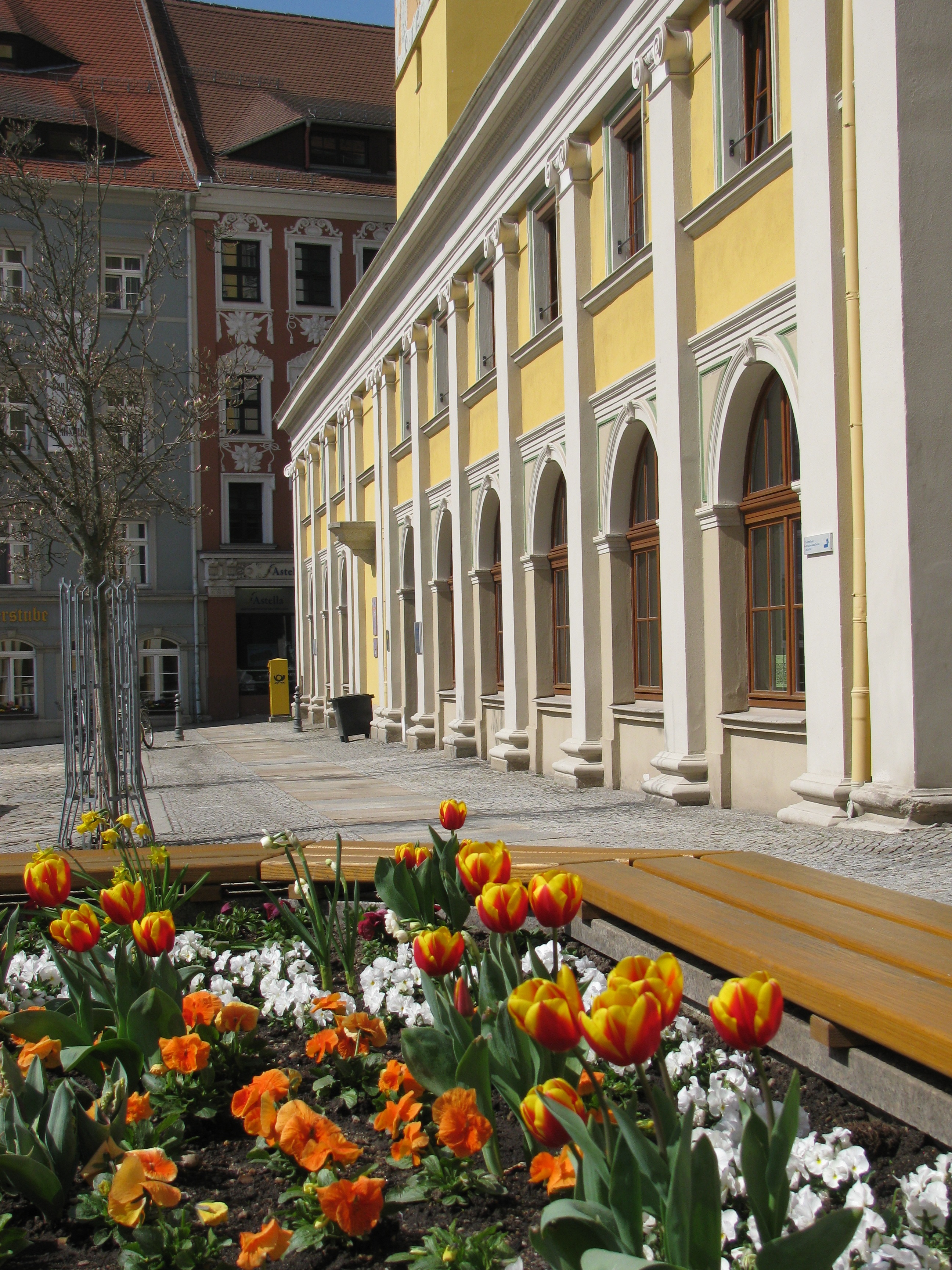 Blumen am Rathaus