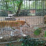 Tierpark Nadermann in Delbrück