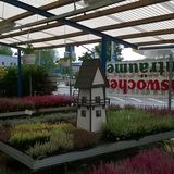 Gärtnerei Knop GmbH Gartenbau in Hagen in Westfalen