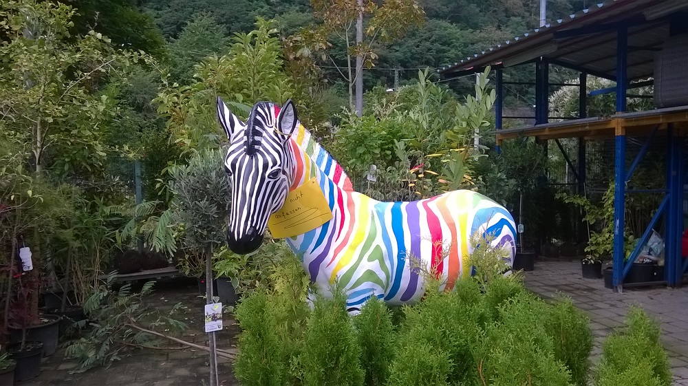 Huch..ein Zebra