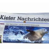 Kieler Nachrichten in Kiel