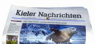 Bild zu Kieler Nachrichten