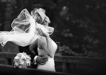 Bild zu Hochzeitsfotografie Skyphoto
