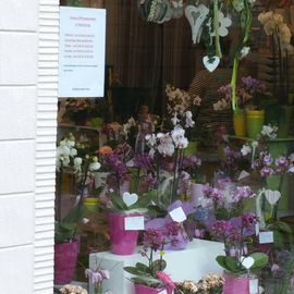 Blütenzauber Schuppert Blumenladen in Bad Laasphe
