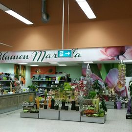 R.H. Blumen u. Pflanzenshop Gross- und Einzelhandels GmbH in Lohmar