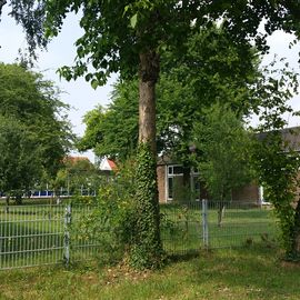 Städt.Gemeinschaftsgrundschule in Düsseldorf