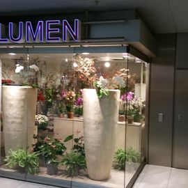 Bahn Blumen GmbH in Düsseldorf