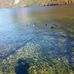 Königssee in Schönau am Königssee