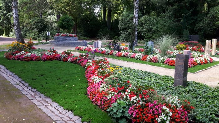 Nutzerbilder Monzel Markus Dipl.-Ing. Blumen und Gärtnerei