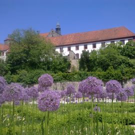 Das Schloss in Bad Iburg vom Knotengarten aus gesehen im Sommer 2015.
