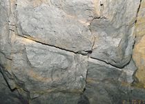 Bild zu Gertrudenberger Höhlen