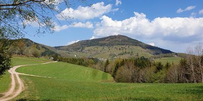 Schwilski Wanderreisen in Waldkirch im Breisgau