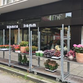 Blumen Kamm in München