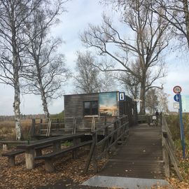 Federsee, Federseesteg in Bad Buchau