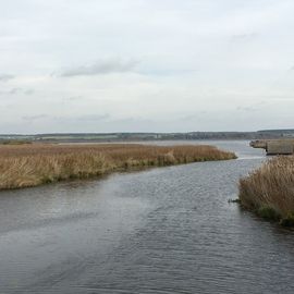 Federsee, Federseesteg in Bad Buchau