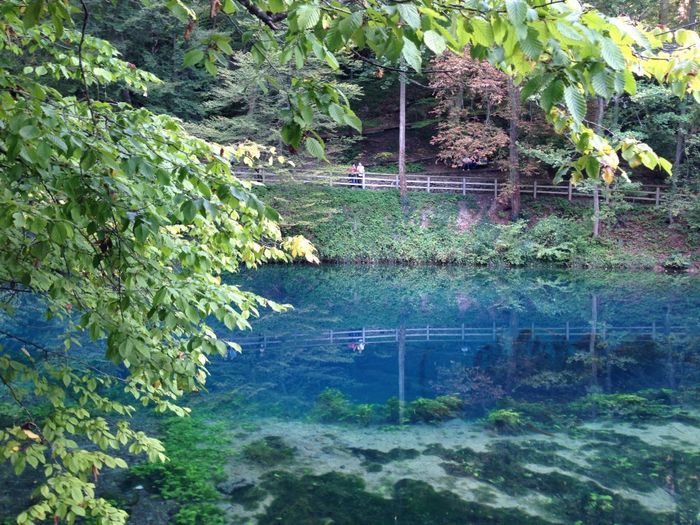 Nutzerbilder Blautopfhaus Schönhofer