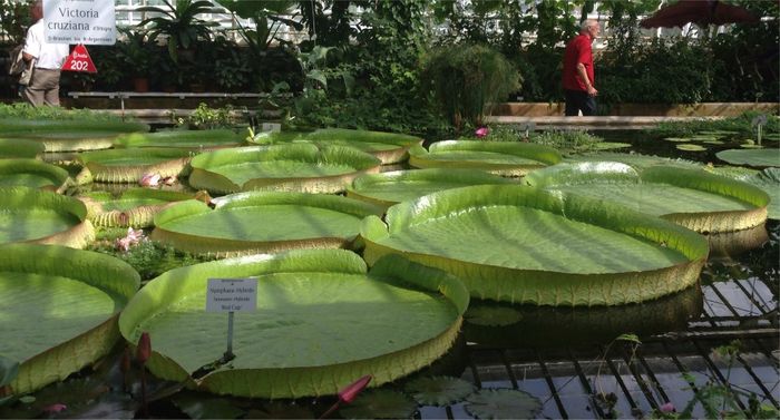 Nutzerbilder Café im Botanischen Garten