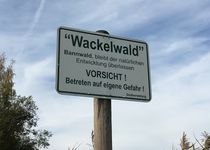 Bild zu Wackelwald