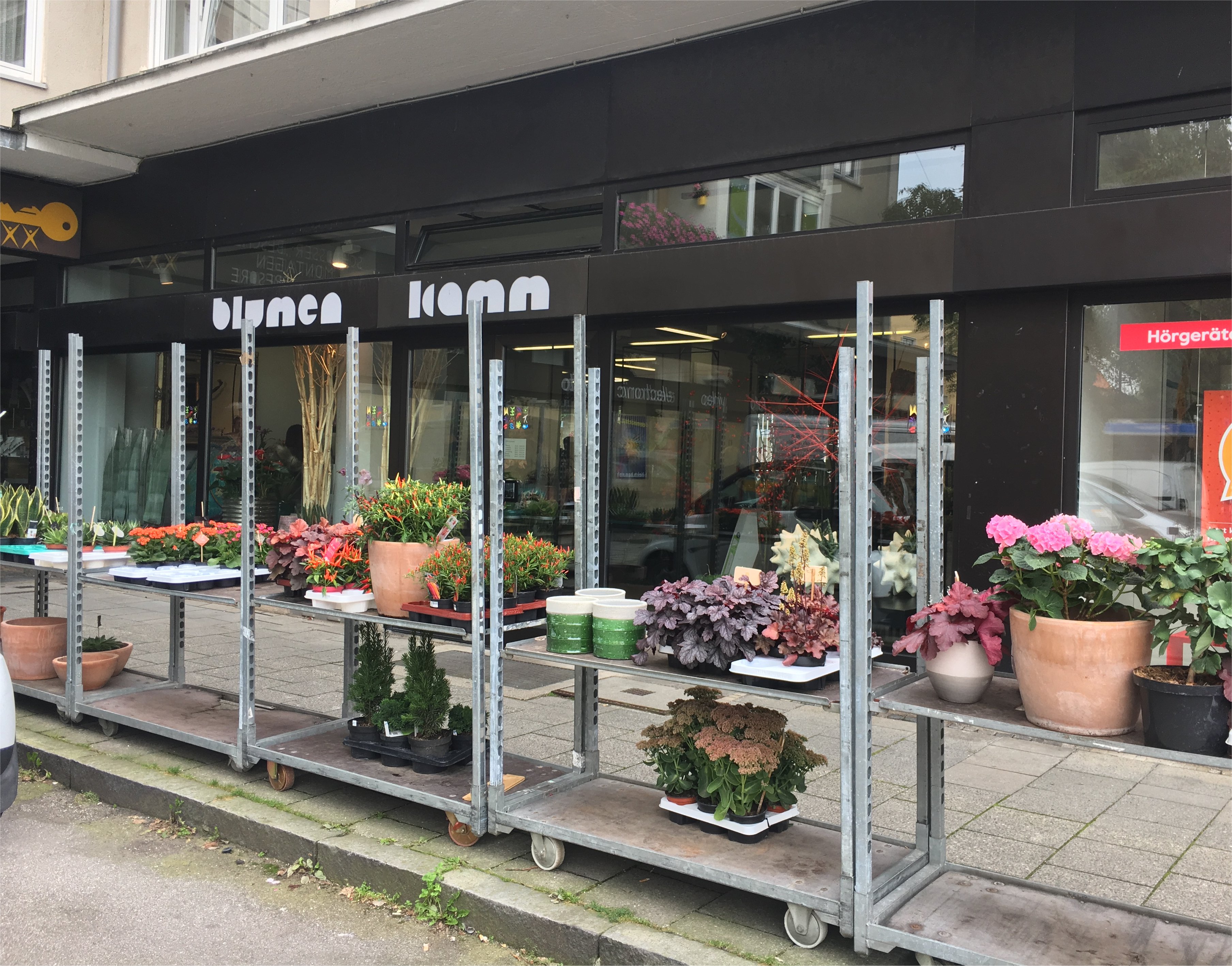 Bild 1 Blumen Kamm in München