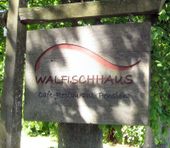 Nutzerbilder Restaurant & Café Walfischhaus