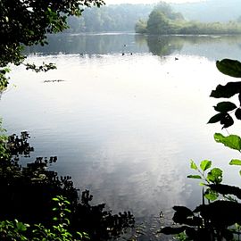 Ewaldsee, Nordufer