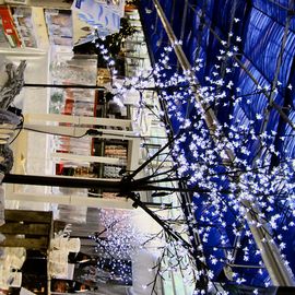 es weihnachtet sehr im Gartencenter Augsburg