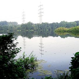 Süd-Ost Ufer des Ewaldsees mit Insel in der Mitte