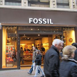 Fossil in der City