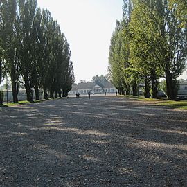 KZ-Gedenkstätte Dachau - Lagerstrasse