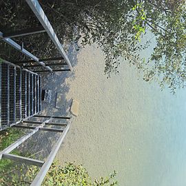 Pilsensee in Seefeld - Treppe in den See