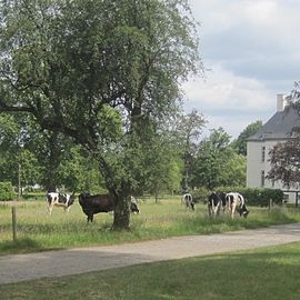 Blumraths Restaurant & Biergarten in Hünxe