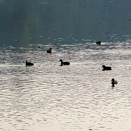 auf dem Ewaldsee