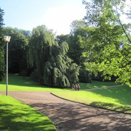 Viele Wege führen kreuz und quer durch den Park