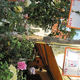 Samen-Schmitz direkt am Viktualienmarkt. 